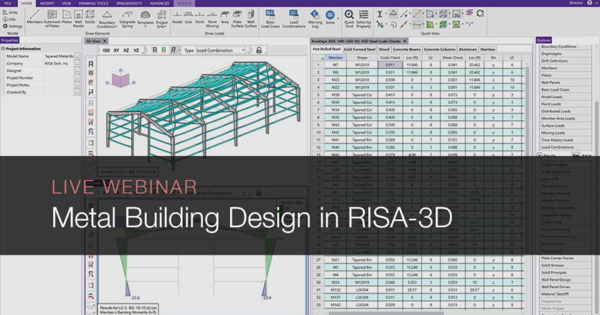 structure self weight on risa 3d