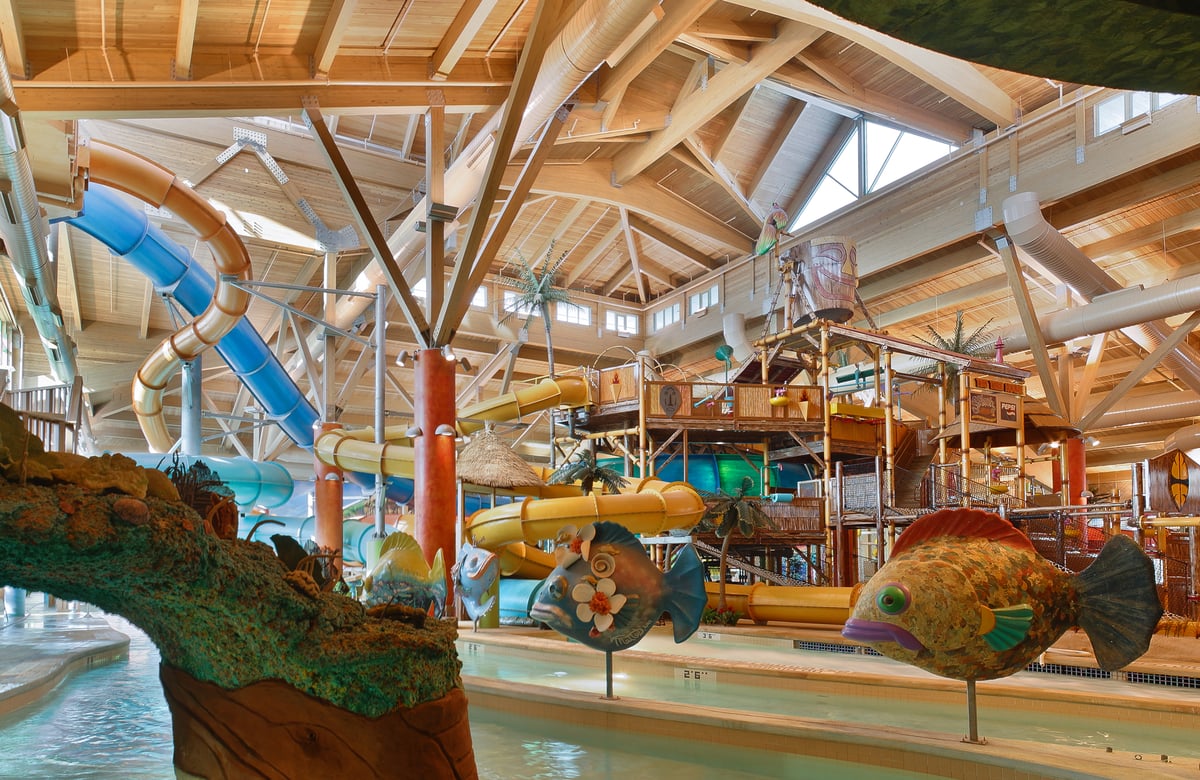 RISA-SPLASH-2-1920px